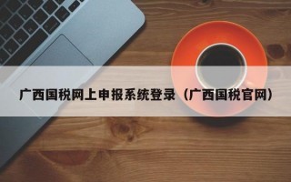 广西国税网上申报系统登录（广西国税官网）
